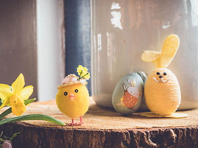 yellow bird plush toy on brown wood