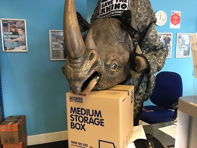 Rhino resting on top of Access packaging box