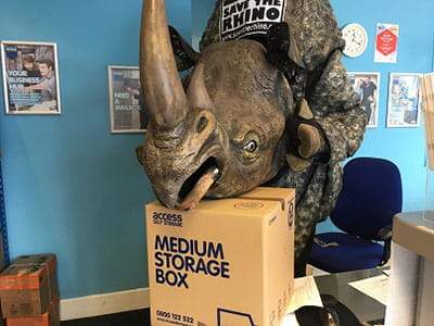 Rhino costume head on top of a medium storage box