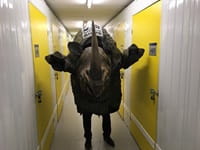 Rhino walking down Access corridor
