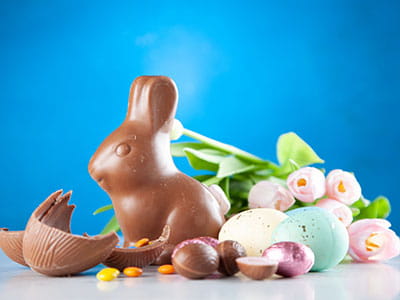 Easter chocolate bunny