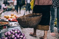 walking in tropical market with basket