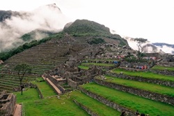 South America fields