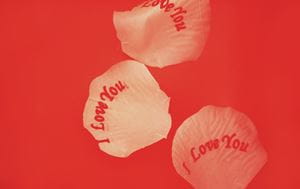 Valentines Day rose petals