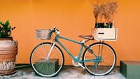 bike with plants on rear rack