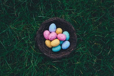 colourful eggs in basket in field