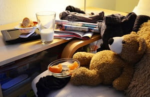 Teady bear eating fruit