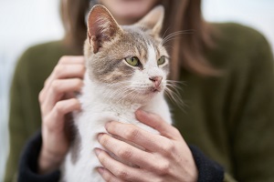 woman holding a white cat