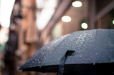 wet umbrella