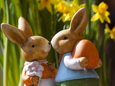 2 Brown Rabbits Smiling At Each Other