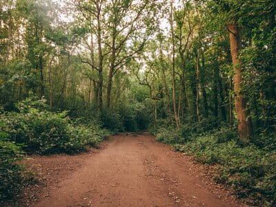 The best things to do near Wimbledon