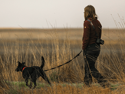 An image of a woman walking a dog to accompany our safety tips on dog walking in the dark