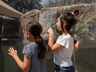 An image of children at the zoo for our page on the top Bristol attractions for families