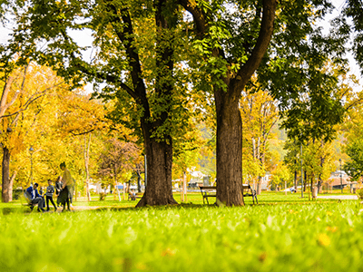 An image of a park for our blog on the best parks in Orprington