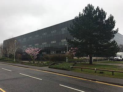 New Access Self Storage building with tree in front